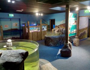 Achill Aquarium Lally Chartered Engineers, Mayo, Ireland