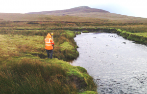 Lally Chartered Engineers - Legal Surveys
